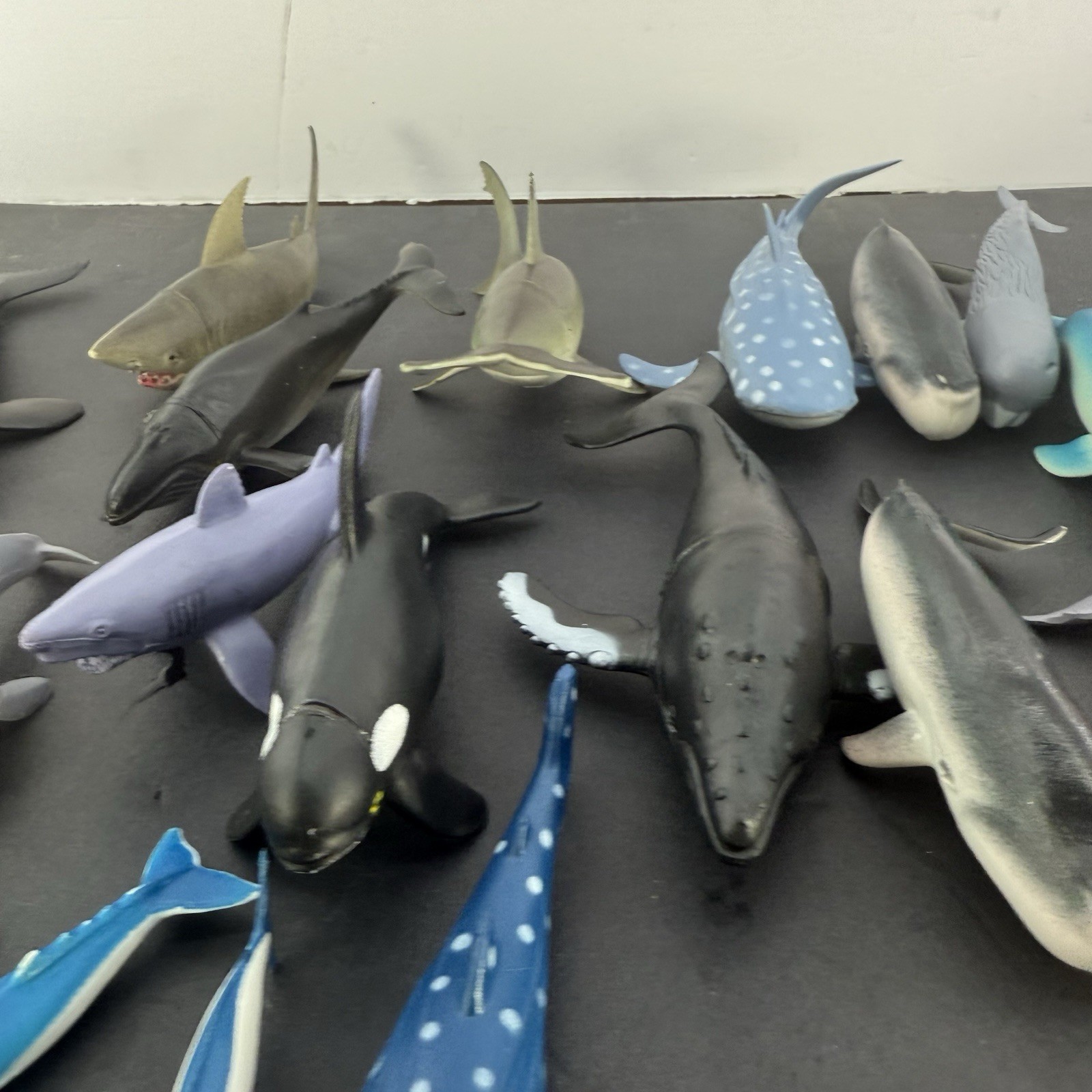Animal Planet Ocean Collection 13 & More Pieces Sharks & More Toys R Us