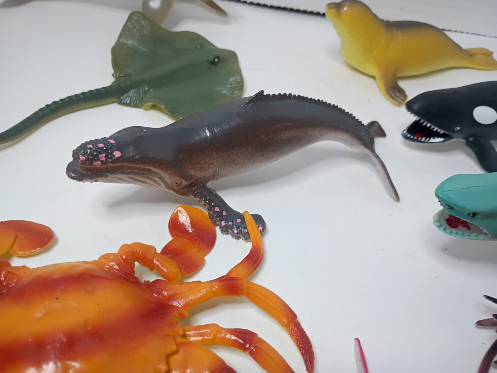 Mixed Lot Of 11 Ocean Animals Toys, Sharks, Whales, Ray, Science, Educational