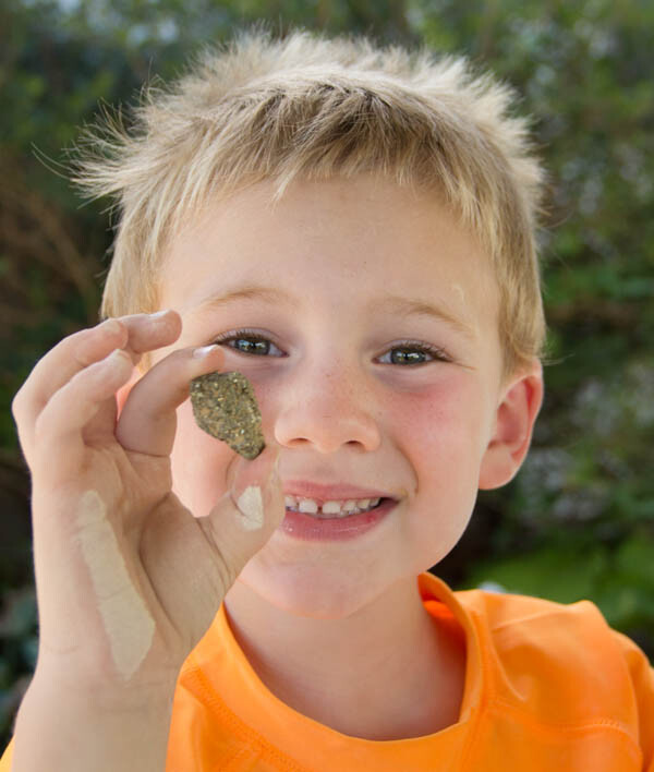 National Geographic Fool’s Gold Mini Dig Kit Genuine Pyrite Nugget Stem – 2 PACK
