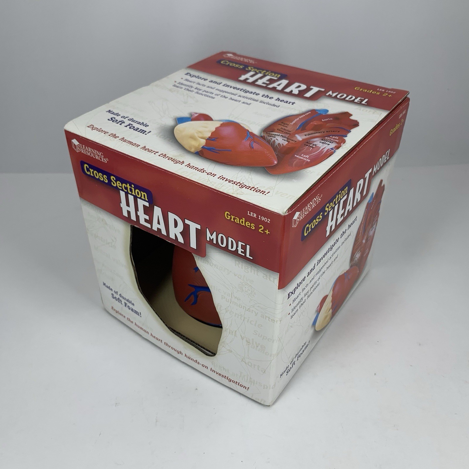 Cross Section HEART Model Learning Resources LER 1902 Soft Foam Anatomy Grade 2+