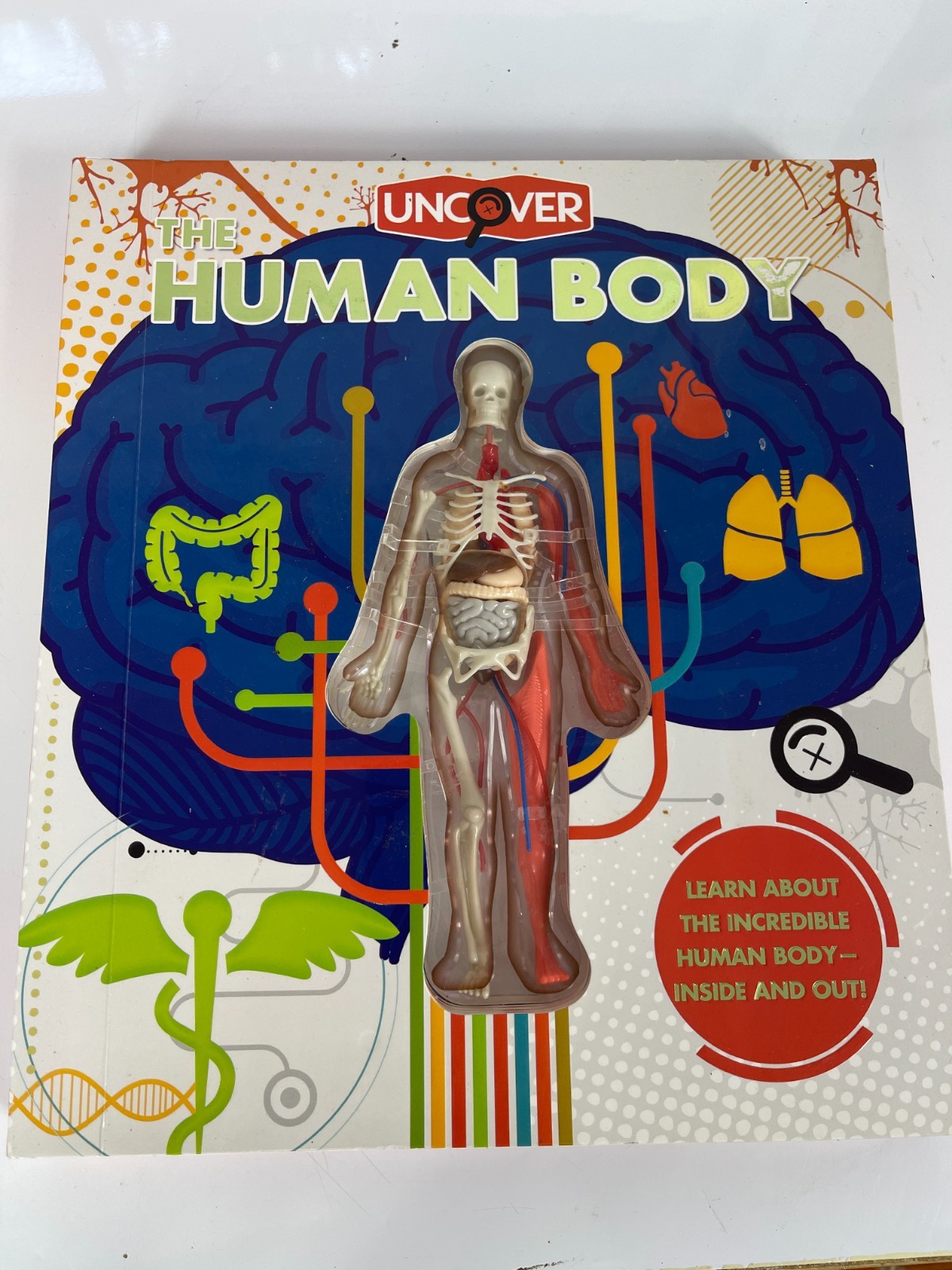 Uncover Human Body Book 3D Model 2020 STEM Anatomy Kids Educational