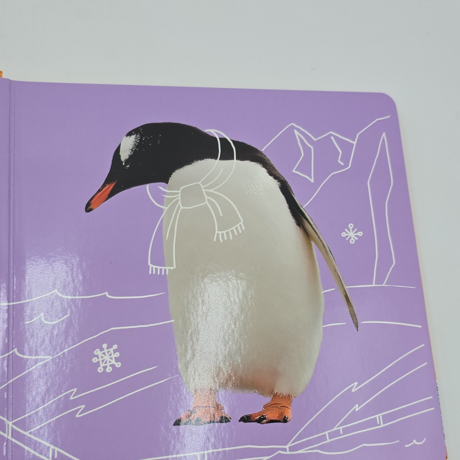 Clever Numbers Board Book Russian Educational Photo Book 1-3 Years