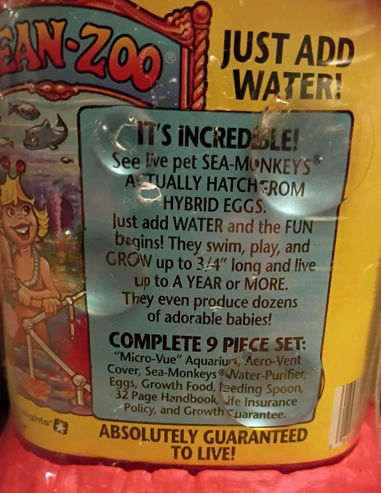1996 The Amazing Live Sea Monkeys Ocean Zoo Rare Vintage 1990s Sealed New