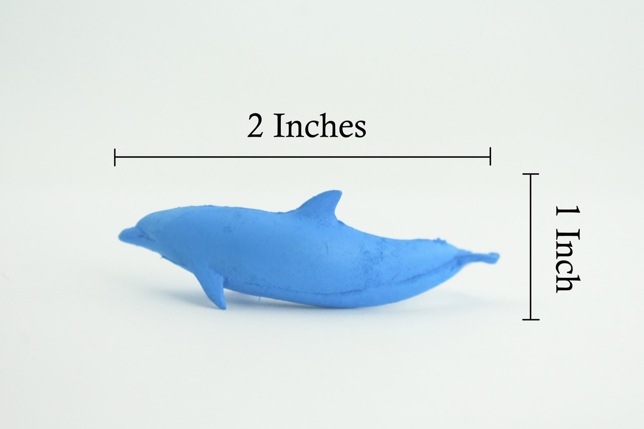 Toy Blue Dolphin Cichlid, Realistic, Replica, Kids, Gift, 2 Inches CWG52 B197
