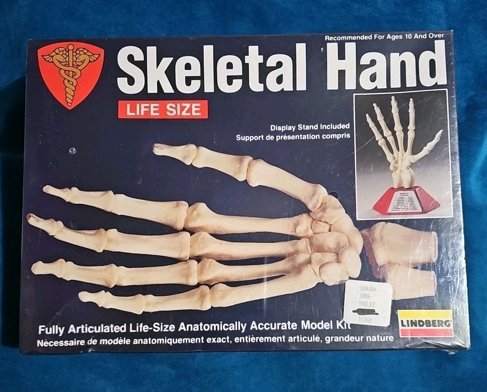 1991 Lindberg Skeletal Hand Life Size Model Kit Prop Or Educational NEW SEALED