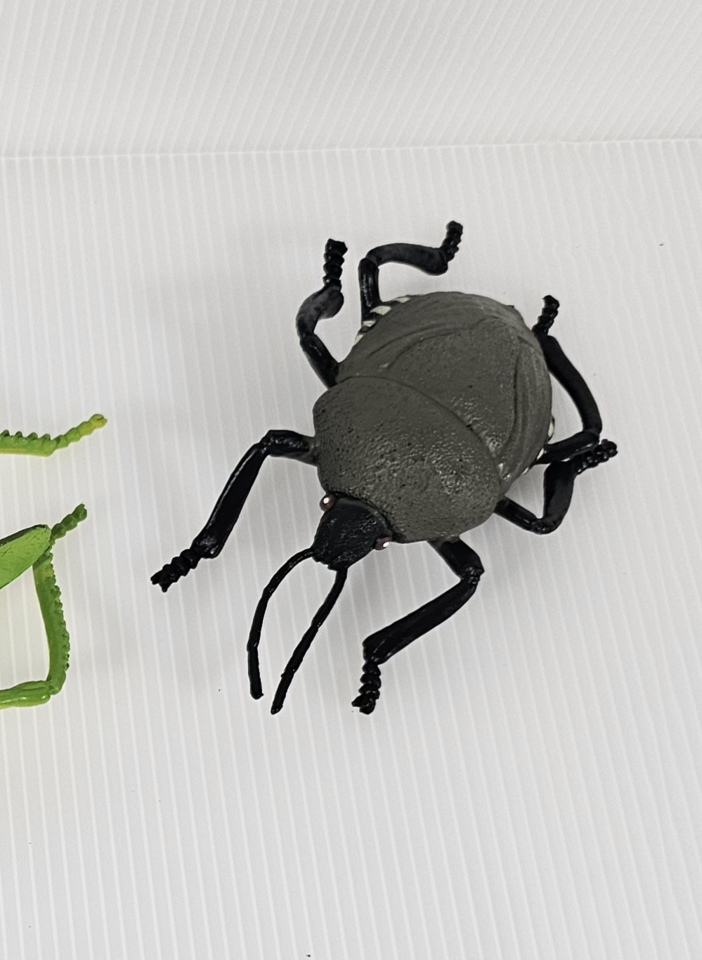 4 Large Bugs Collection, Grasshopper, Beetles