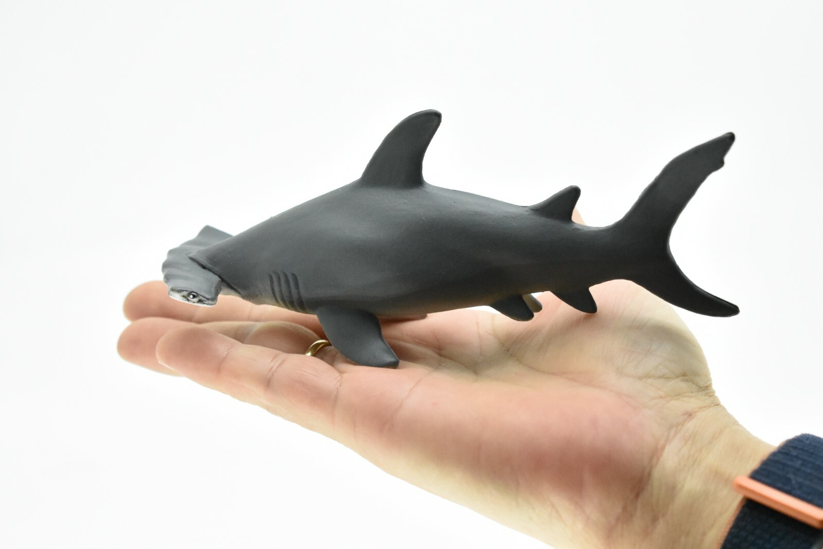 Hammerhead Shark, Very Nice Hollow Rubber Replica 6″ – F1900 B20