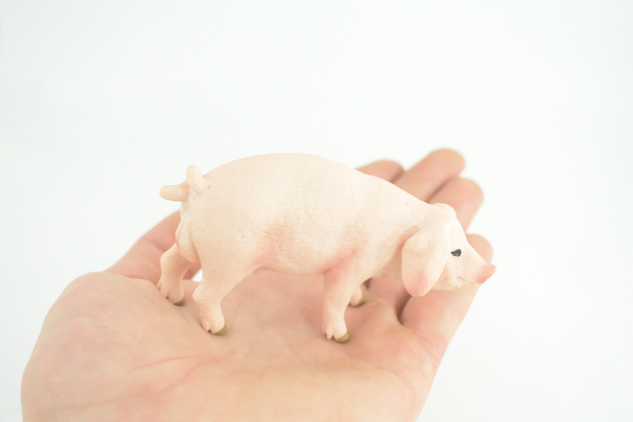 Toy Pig, Farm Animal, Realistic Hand Painted Rubber Model, 4 Inches CH975 BB213
