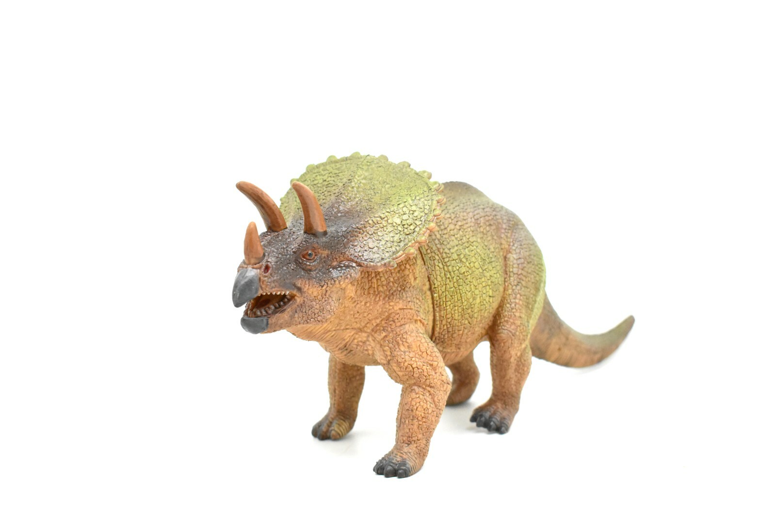 Triceratops Toy, Dinosaur Model, Realistic Plastic Replica, 14″ CWG157 BB33