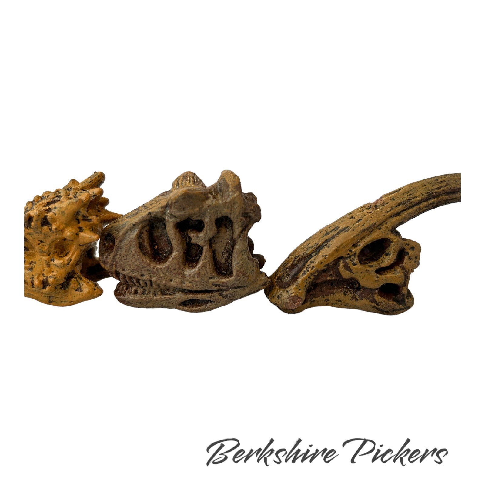 Safari Ltd Dinosaur Skull MINI Replica Lot Of 9