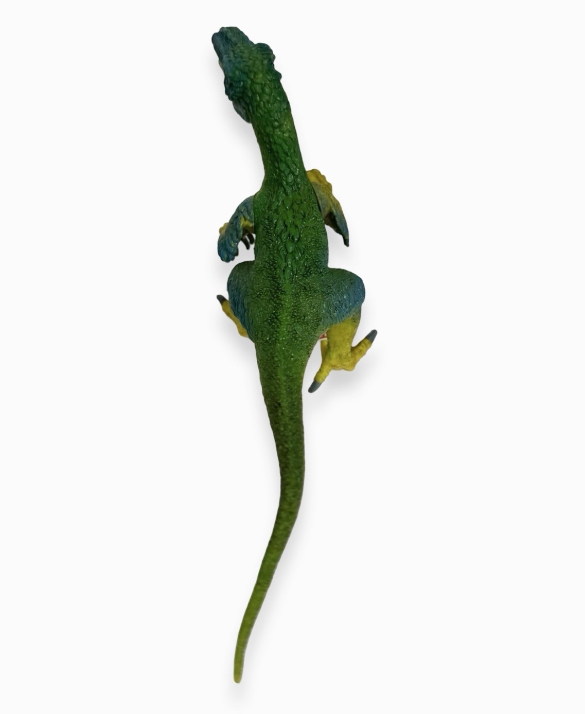 Schleich Velociraptor Dinosaur Figure – AM Lines / New With Tags