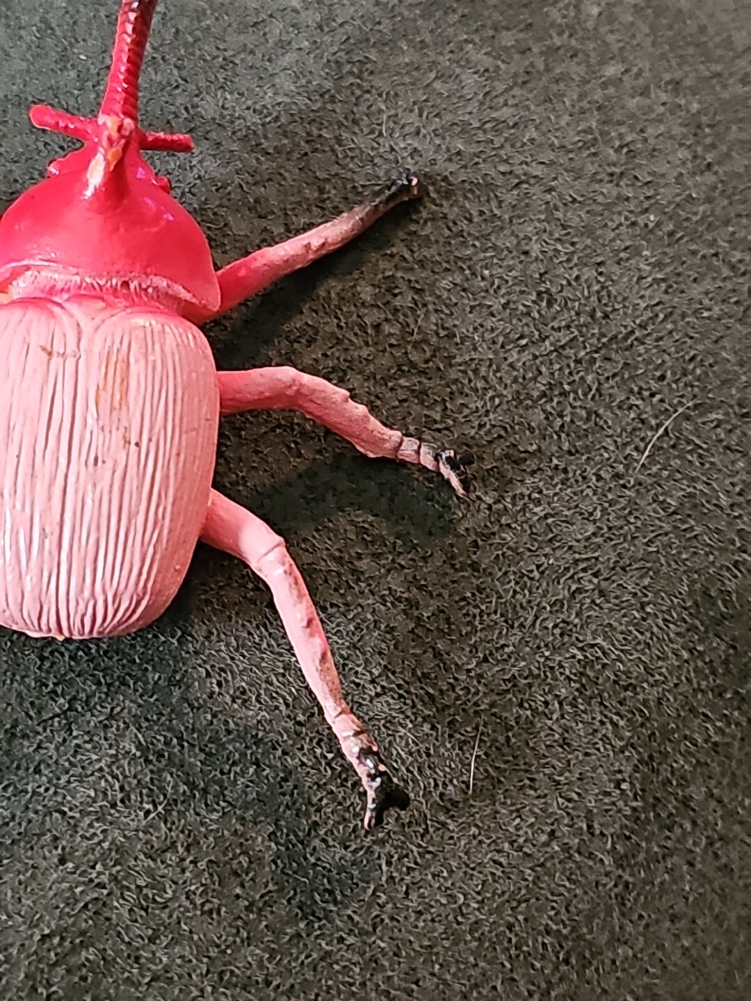 Creepy Crawley Bug Red/ Pink 3 In x2.5 x1