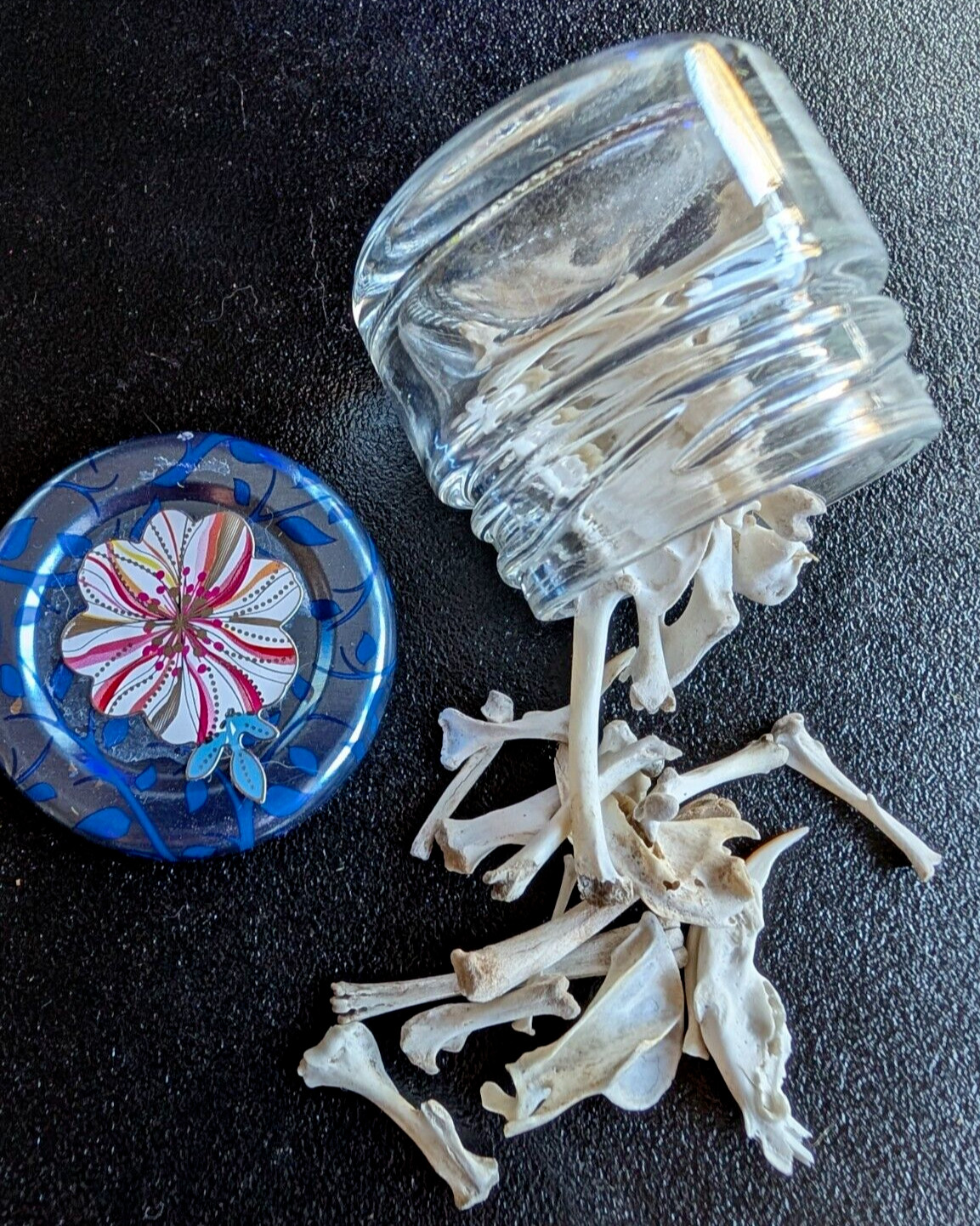 30 to 35 Owl Pellet Bones in a Small Glass Jar and a Bone Identification Chart.