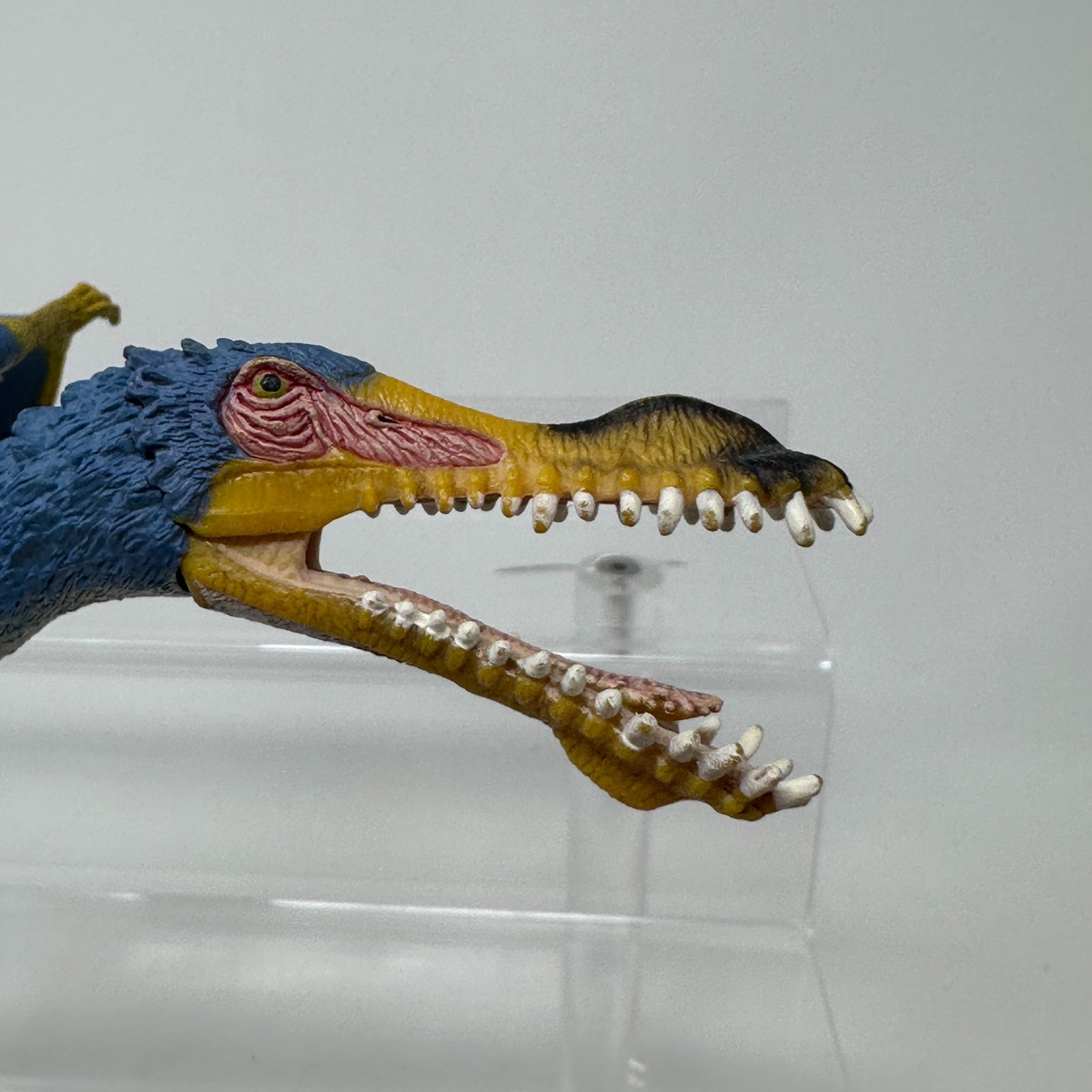 Schleich Anhanguera Figure Blue Prehistoric Dinosaur Animal Figurine 5.5″ 2014