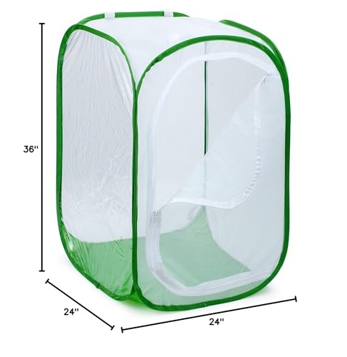 RESTCLOUD 36″ Large Monarch Butterfly 24 x 24 x 36 inches, White with Green