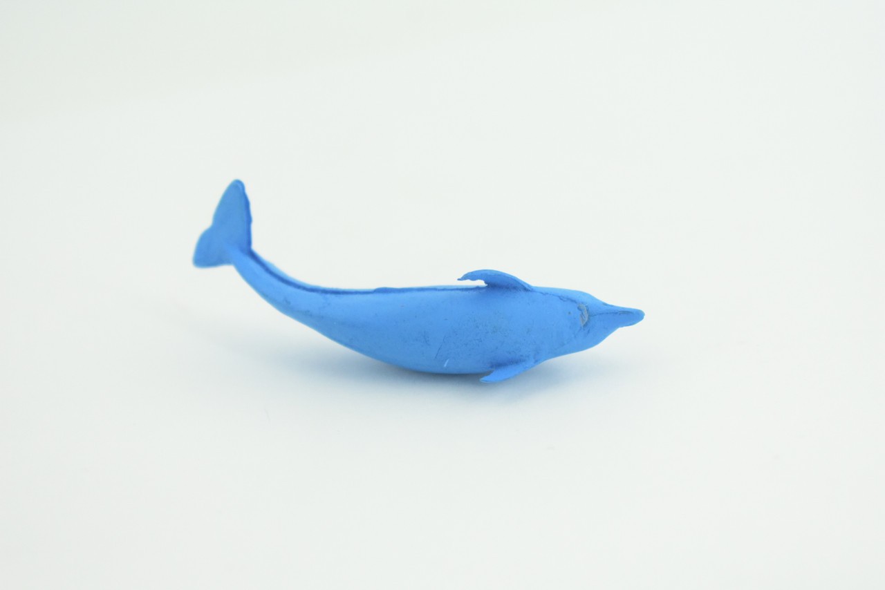 Toy Blue Dolphin Cichlid, Realistic, Replica, Kids, Gift, 2 Inches CWG52 B197