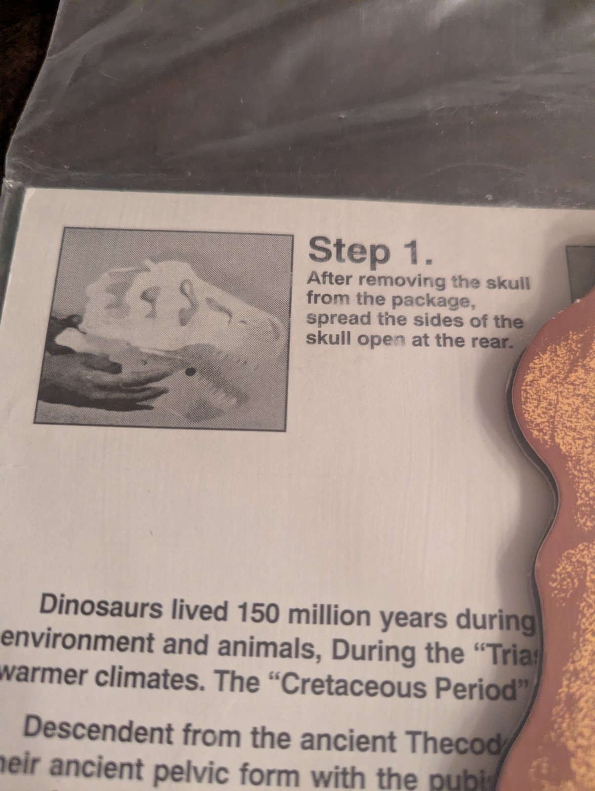 Dinosaur 3-D Paper Skull TYRANNOSAURUS Vintage 1993 Model Fossil New SEALED