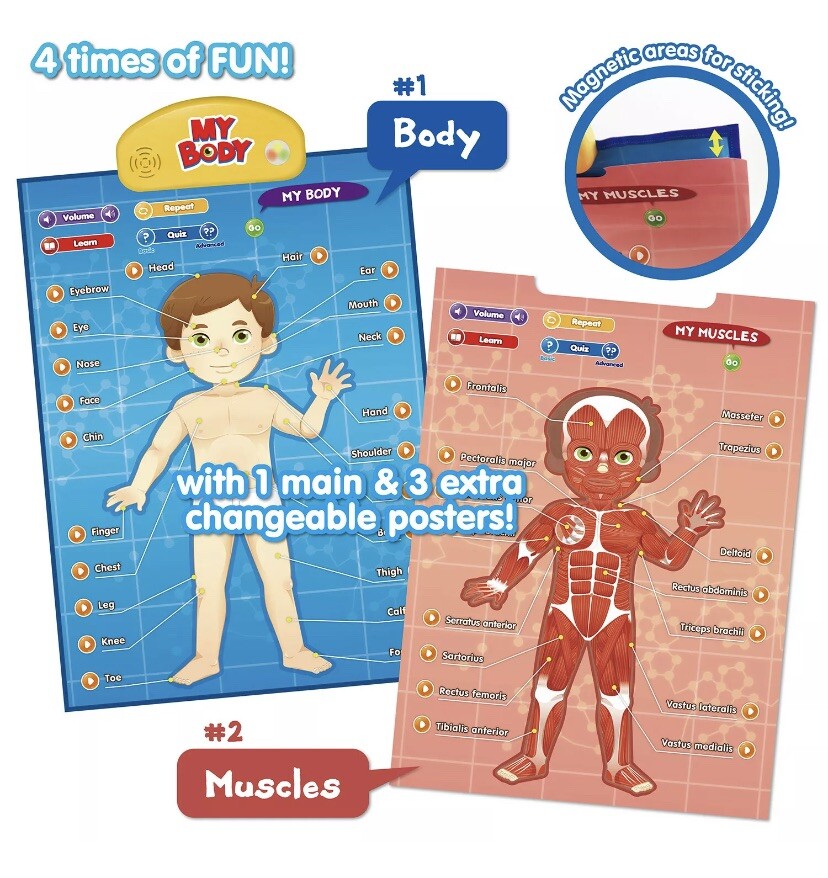 BEST LEARNING i-Poster My Body
