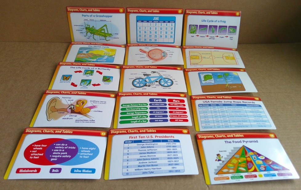 LAKESHORE Nonfiction Comprehension Quickie Cards with Box (100% complete)