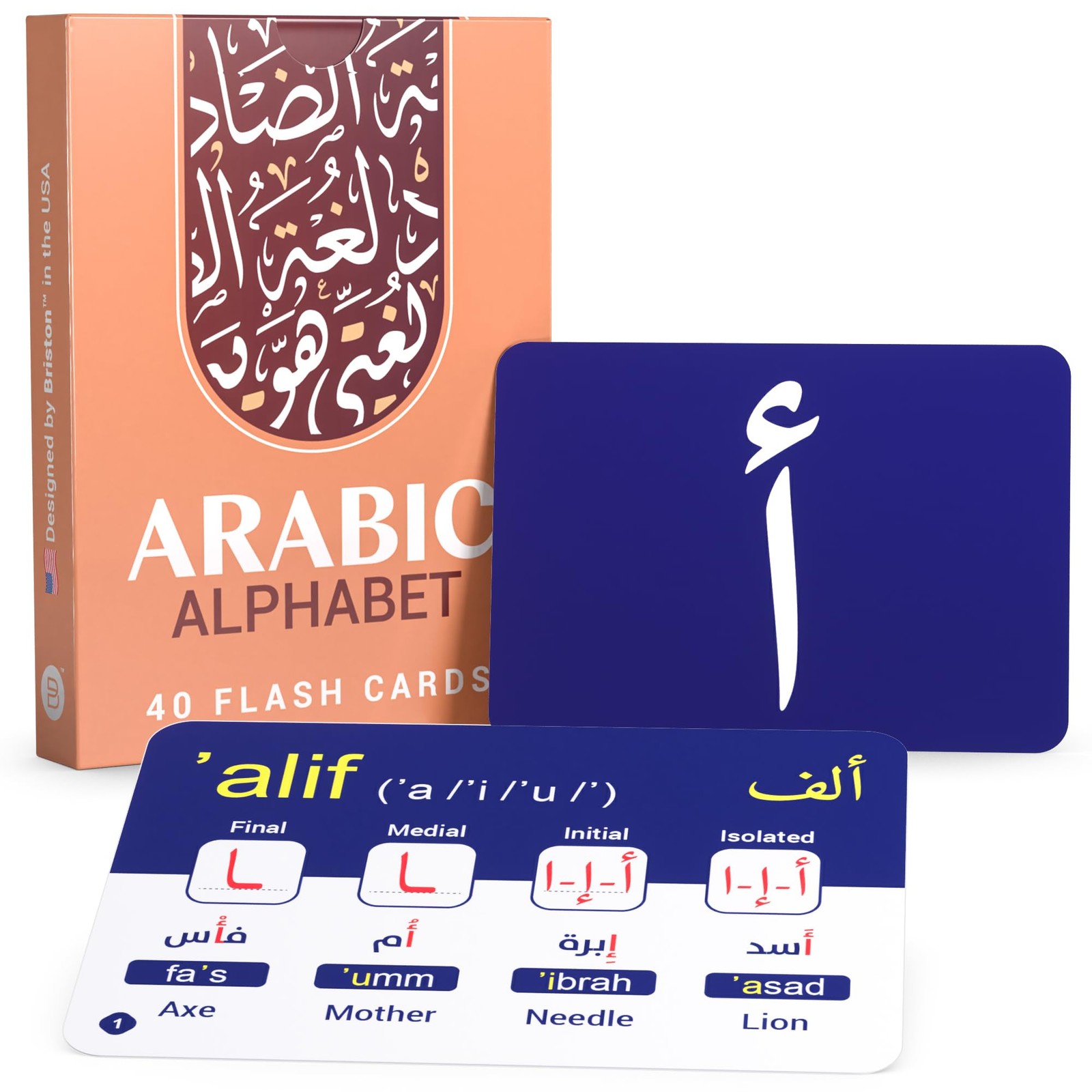 Briston Arabic Standard Flash Card Size (3.5 x 2.5 Inches), Multi-color