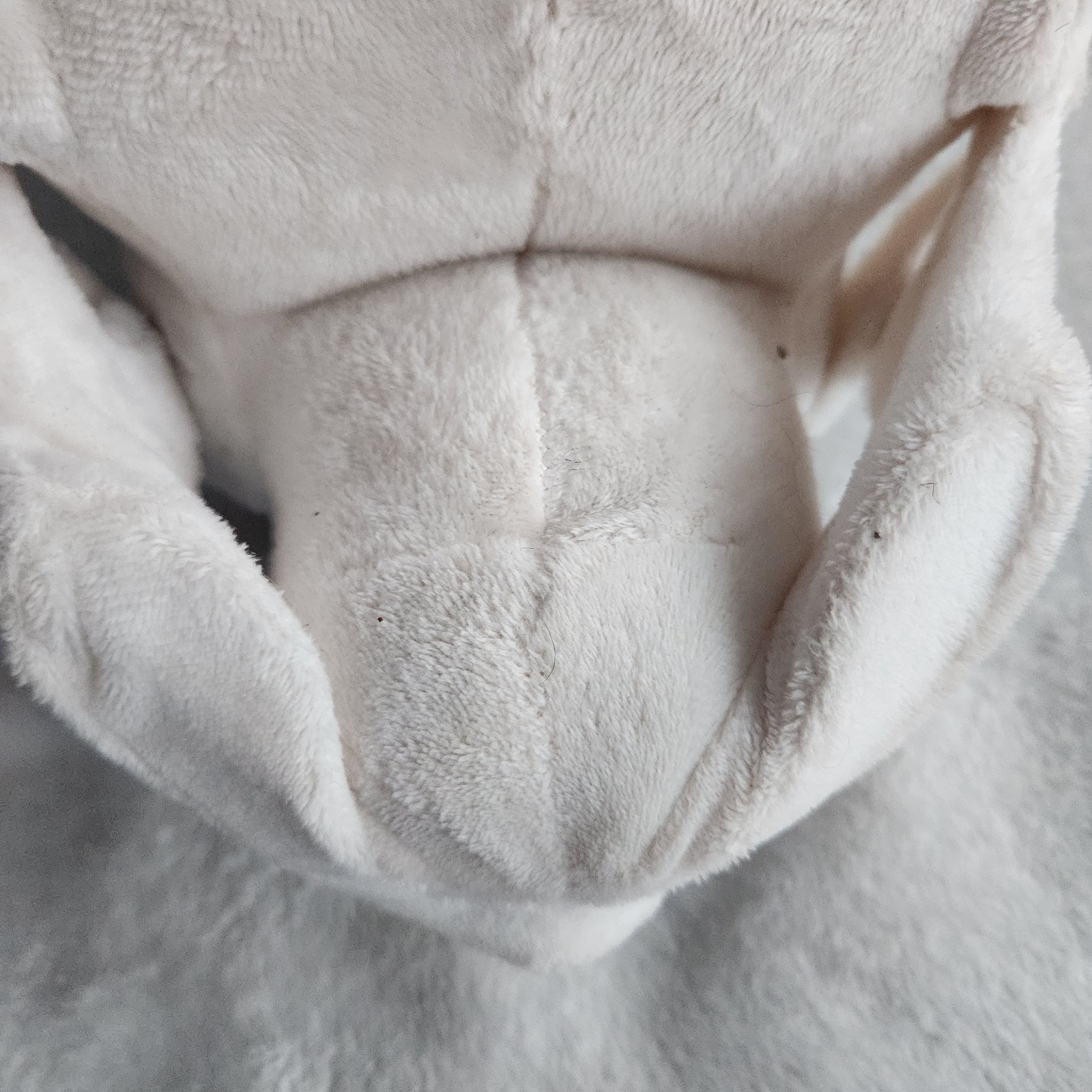 Giant Microbes Plush Skull – Life Size (ish) Anatomy Physiology Skeleton