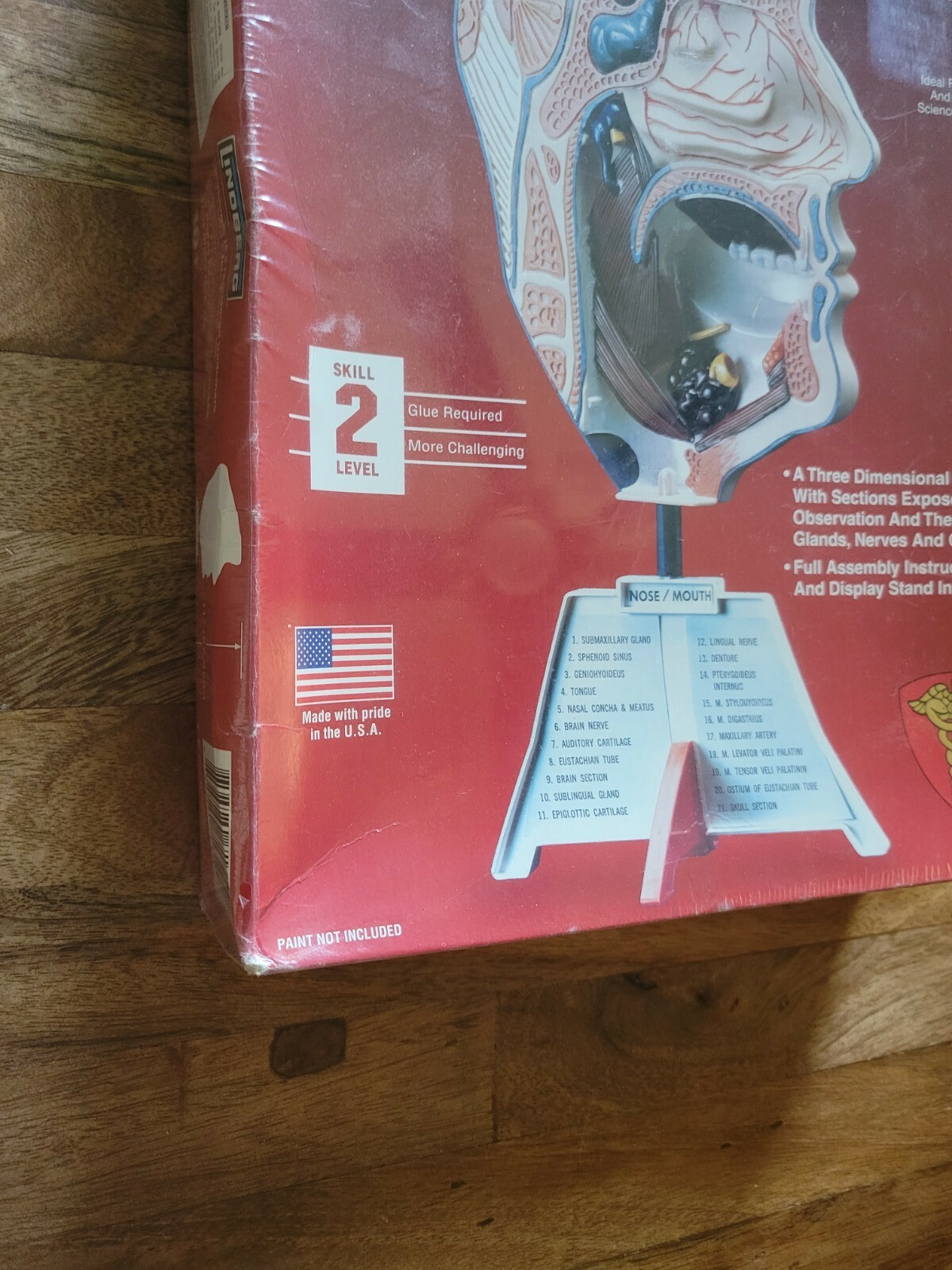 Lindberg Science Kits: Nose/Mouth Skill Level 2 New Unassembled Healthcare Model