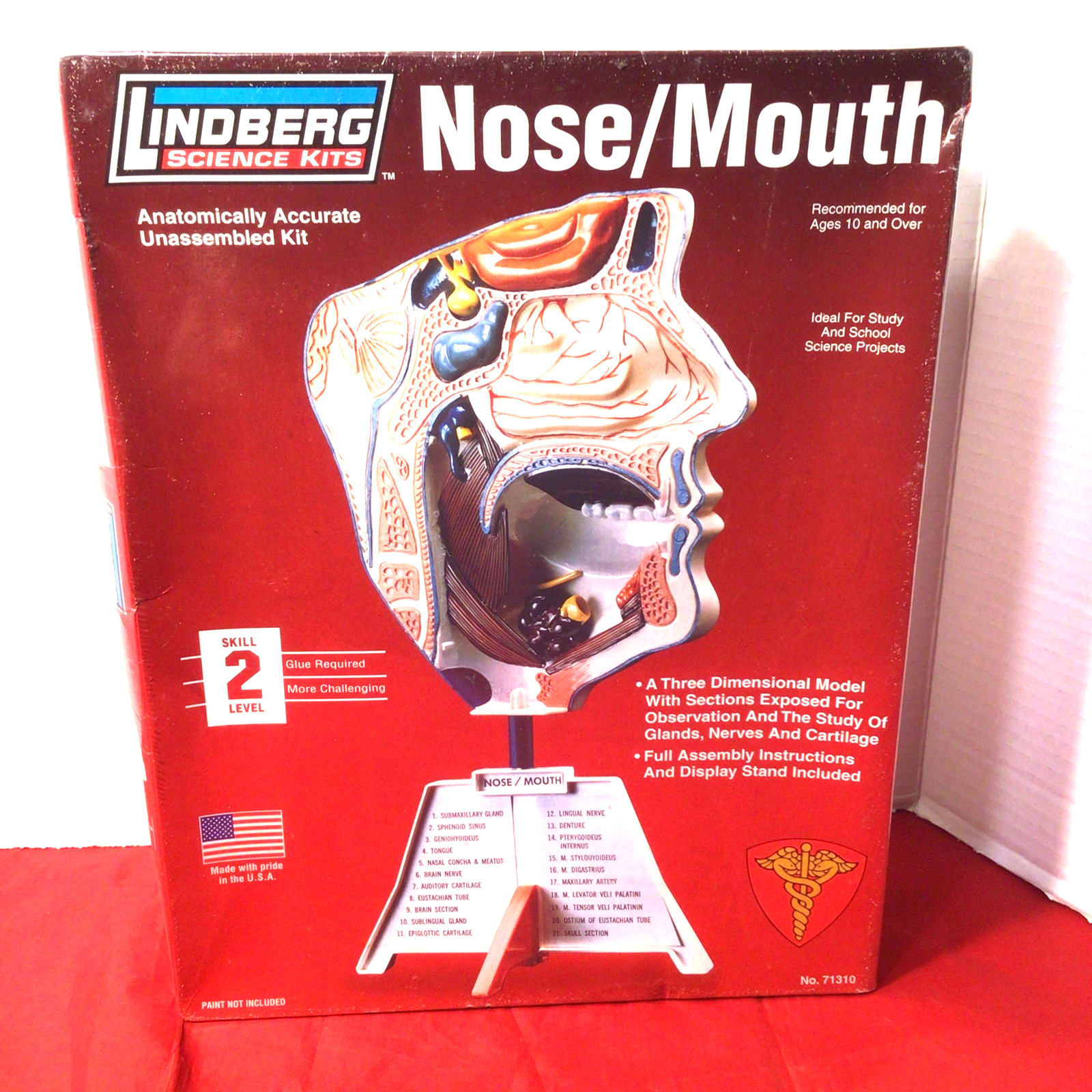 New & Sealed Lindberg “Nose/Mouth” Anatomically Accurate Unassembled Model Kit