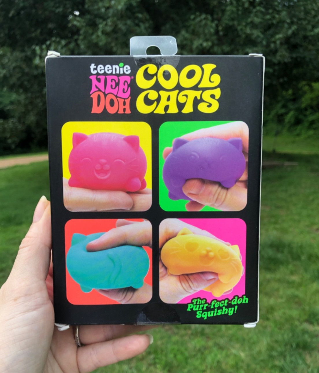 •AUTHENTIC• Shylling NeeDoh Teenie Cool Cats 4 PC Sealed In Box