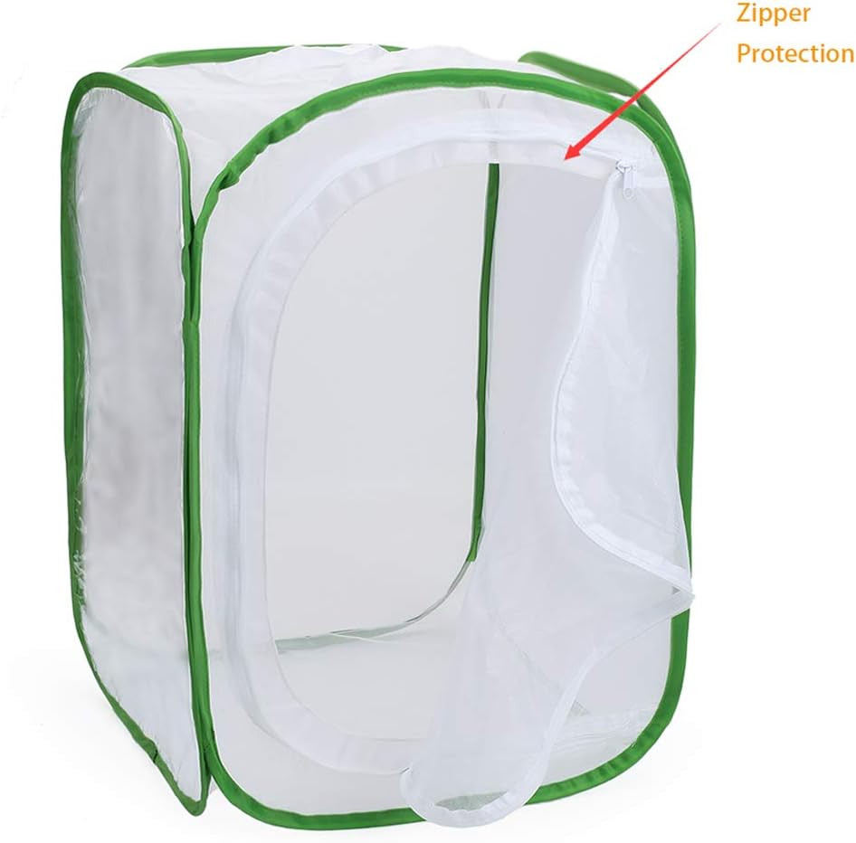 RESTCLOUD Insect and Butterfly Habitat Cage Terrarium Pop-Up 24 Inches Tall with