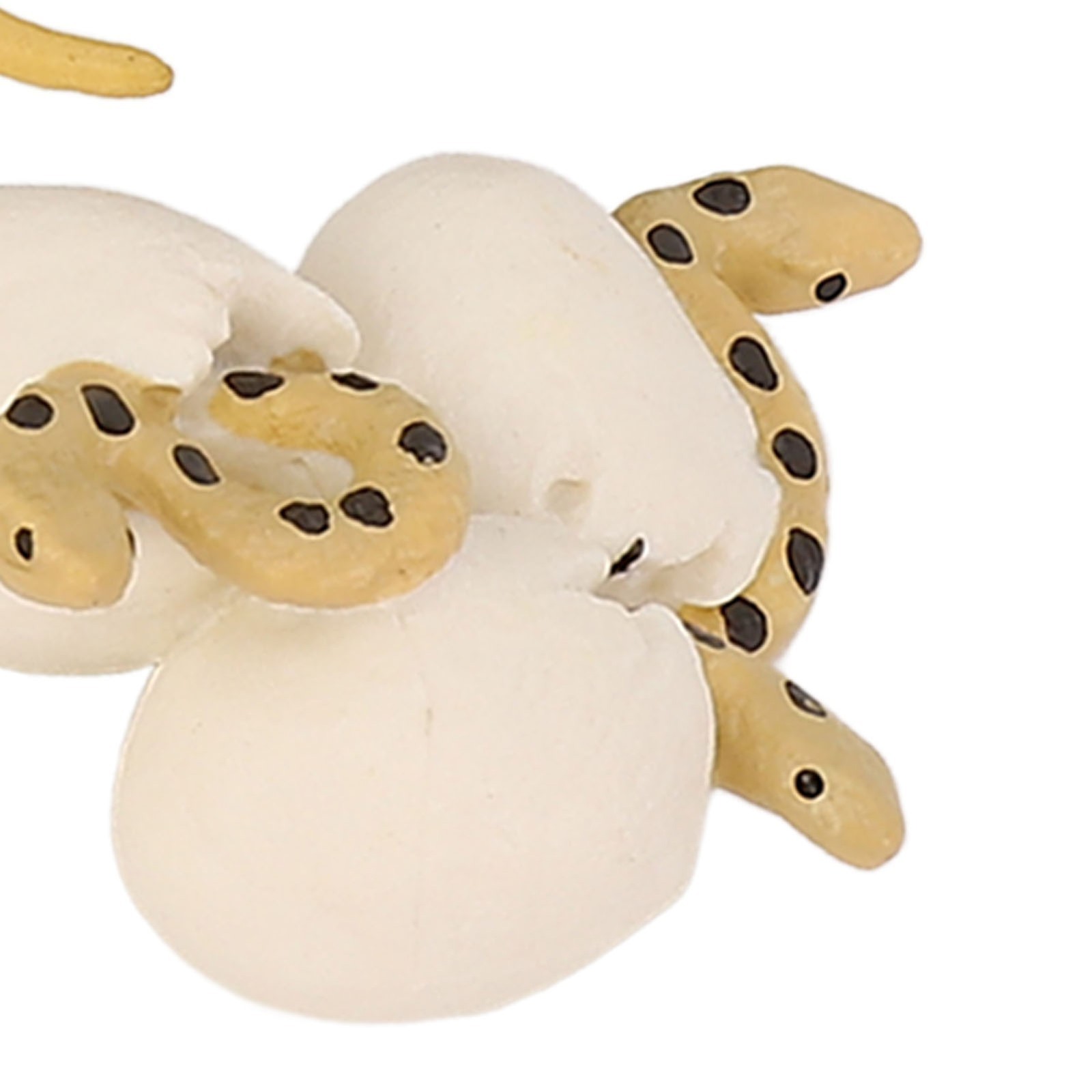 4 Pcs Snake Growth Cycle Model Toys Realistic Educational Play Simulated Snake