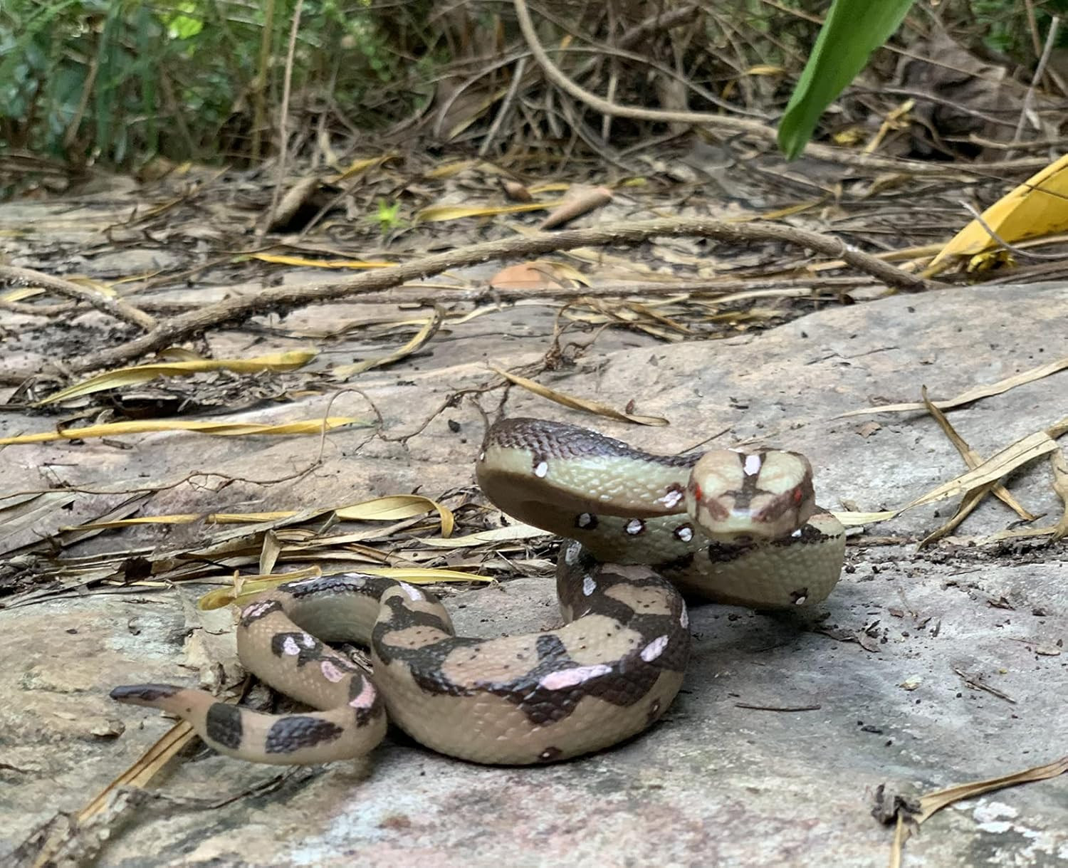 Snake Toys Scary Prank Boa Constrictor Python Animal Figures Gag Gifts Halloween
