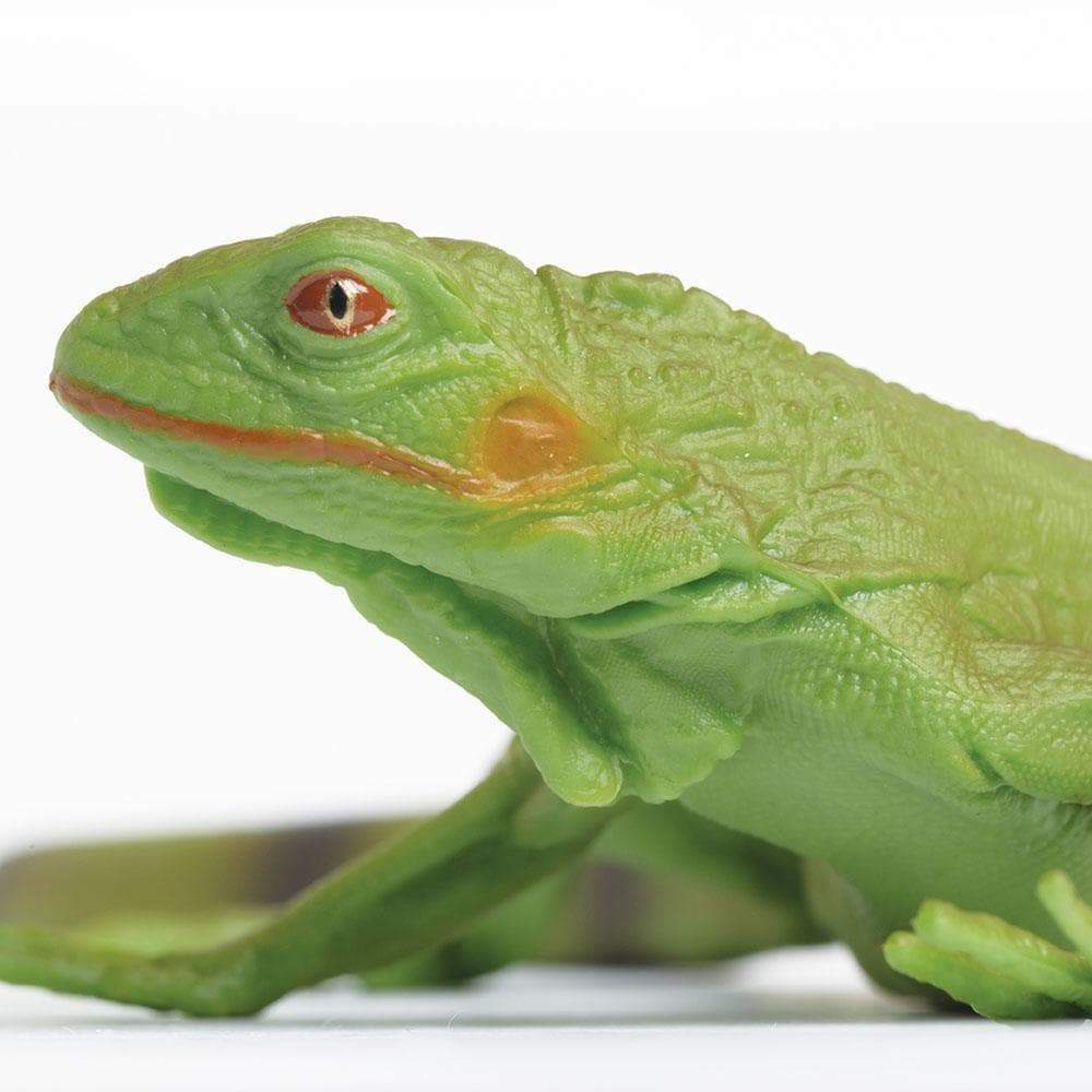 BABY IGUANA Animal Figurine Safari Ltd. toy Incredible Creatures Collection