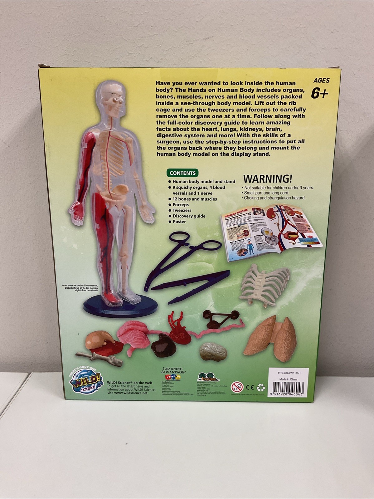 Wild! Science Hands On Human Body Anatomy Learning Activity Kit New & Sealed G35