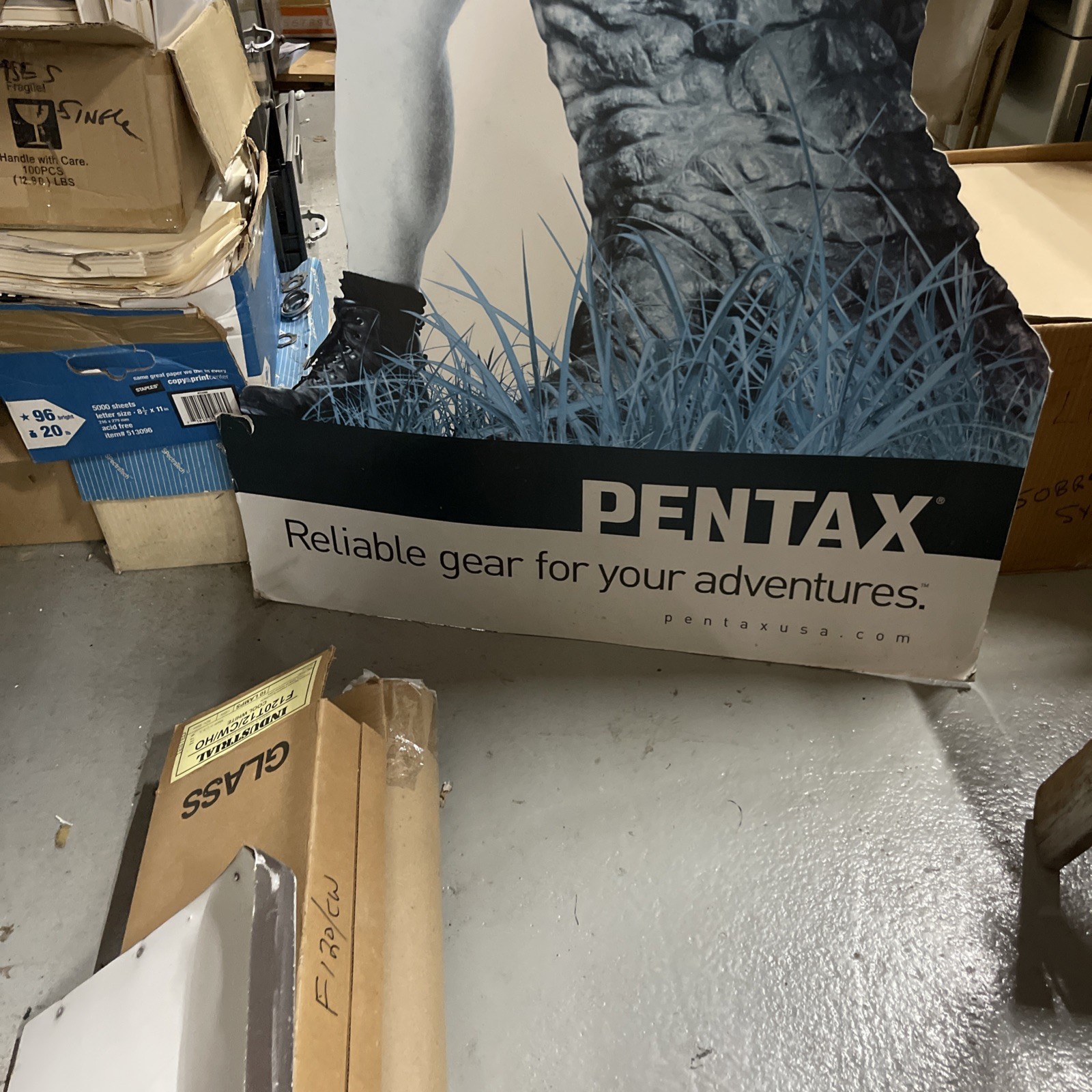 Steve Irwin Crocodile Hunter Australia Zoo Life size Cardboard Standup Pentax