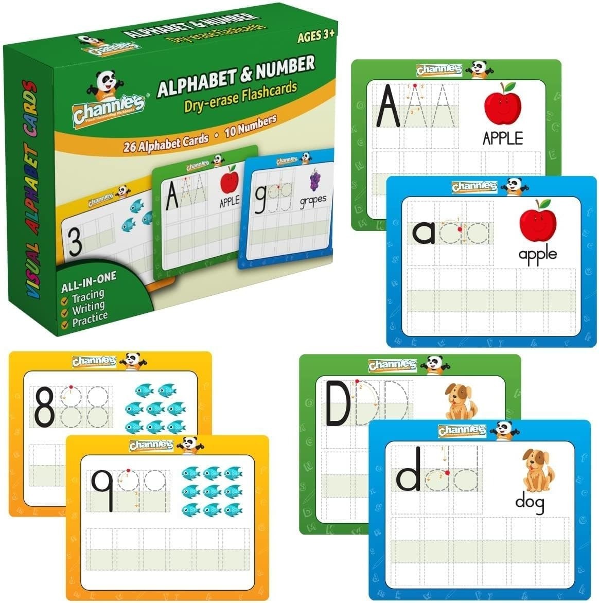 Colorful Dry Erase Flashcards for Early Learners