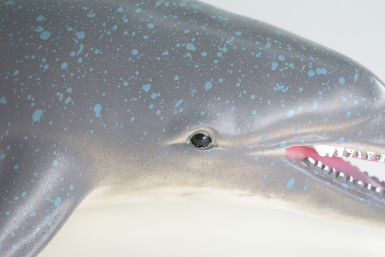 Realistic Dolphin Toy, Hand Painted, Soft Rubber Porpoise Model, 15″ IM23 B656