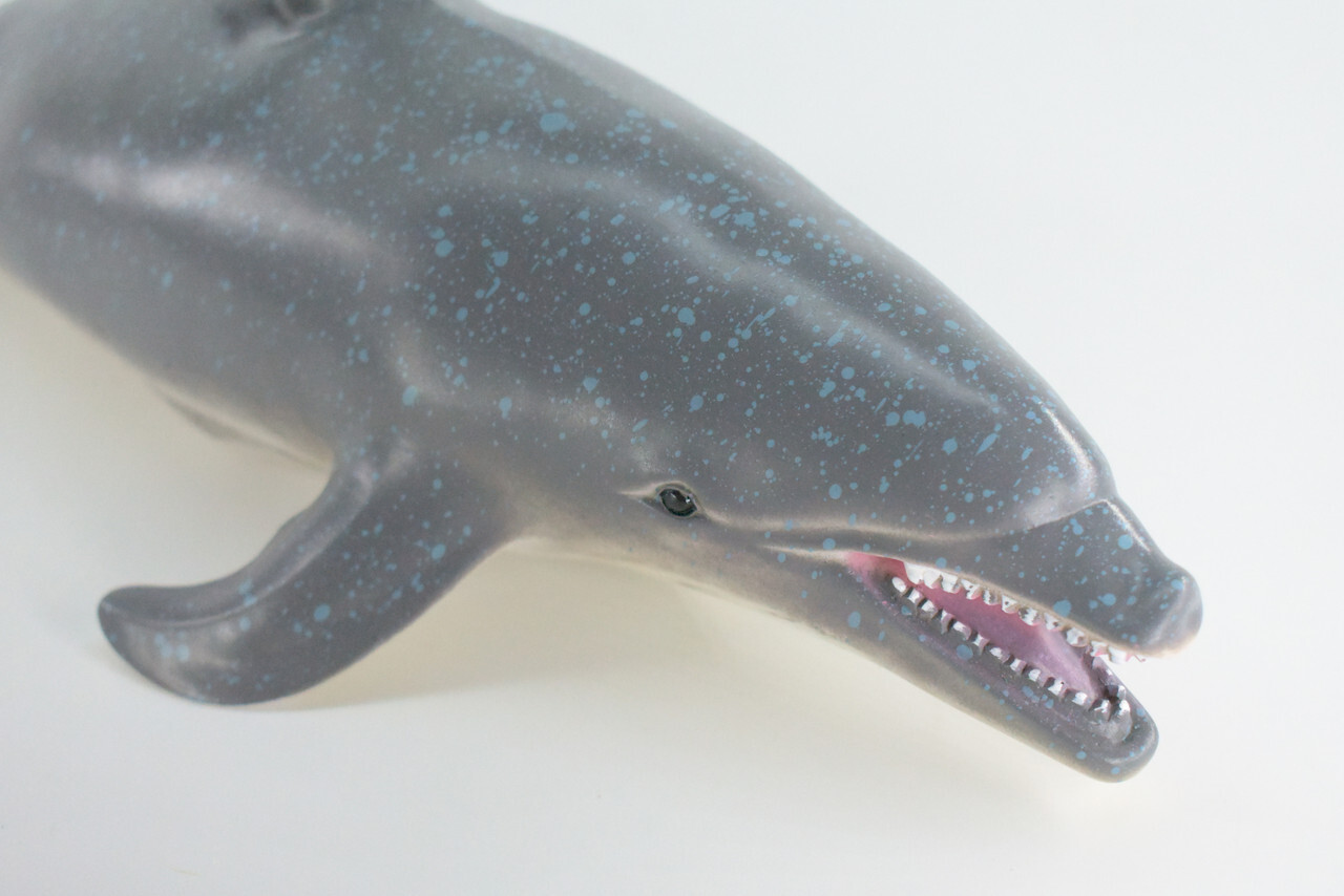 Realistic Dolphin Toy, Hand Painted, Soft Rubber Porpoise Model, 15″ IM23 B656