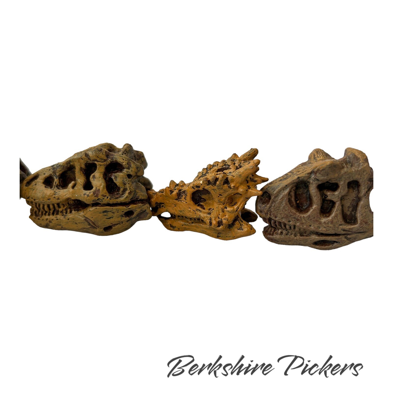 Safari Ltd Dinosaur Skull MINI Replica Lot Of 9