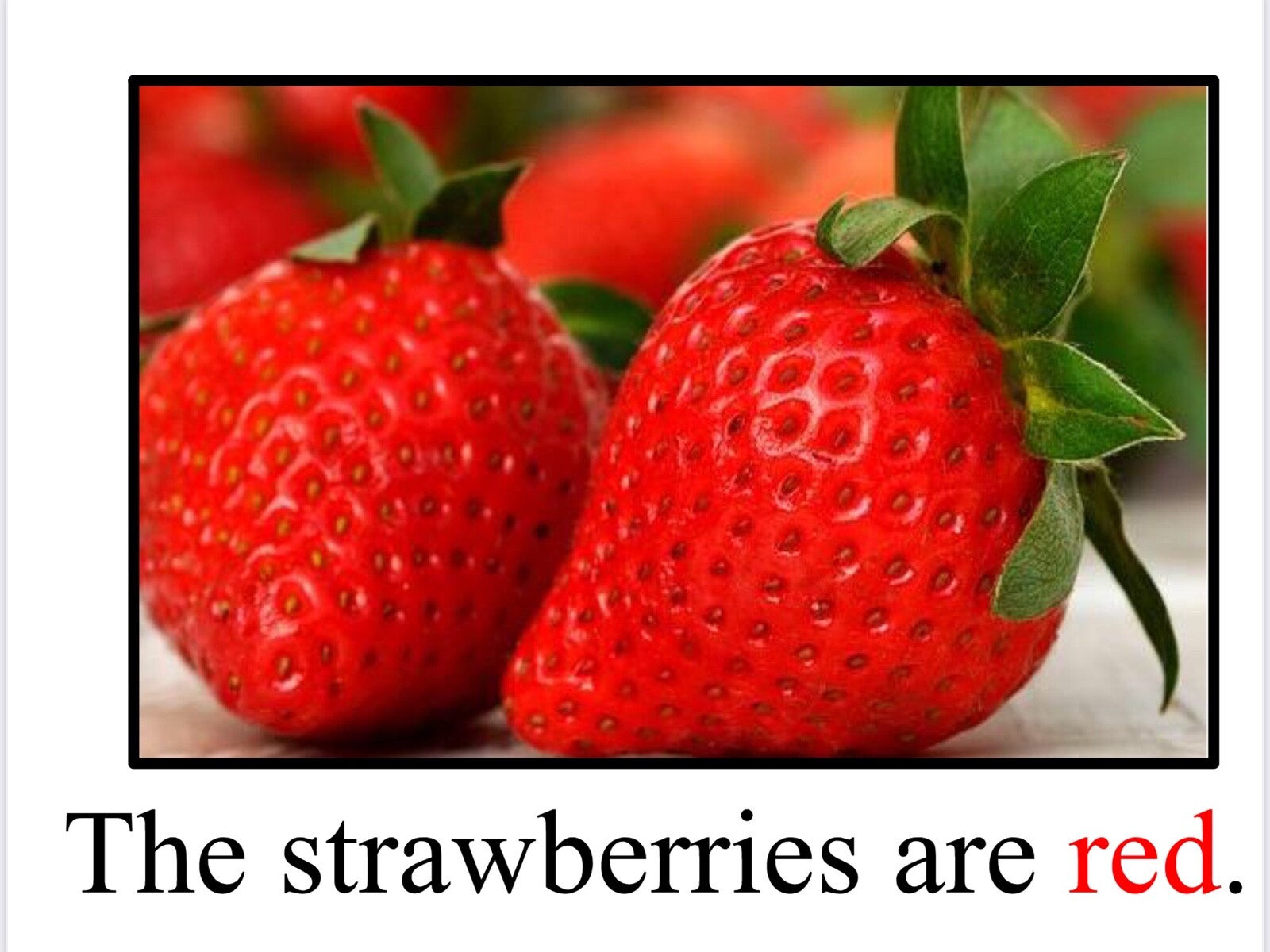 RED | The Strawberries are Red | LEARNING COLORS | Spiral Bound Picture Book