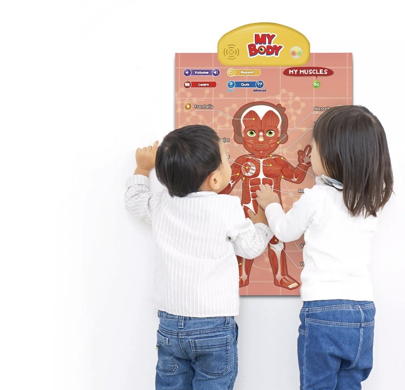 BEST LEARNING i-Poster My Body