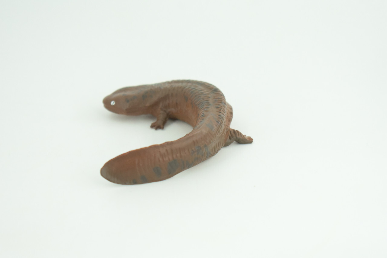 Giant Salamander Toy Model, Hand Painted Rubber Realistic 4 Inches CH857 BB198