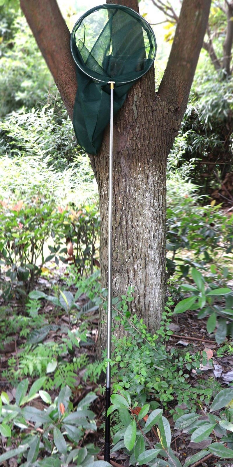 Professional Insect & Butterfly Net – 14″ Ring, 26″ Depth, 59″-73″ Telescopic Ha