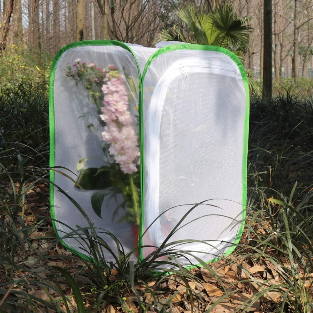 RESTCLOUD Insect and Butterfly Habitat Cage Terrarium Pop-Up 24 Inches Tall with
