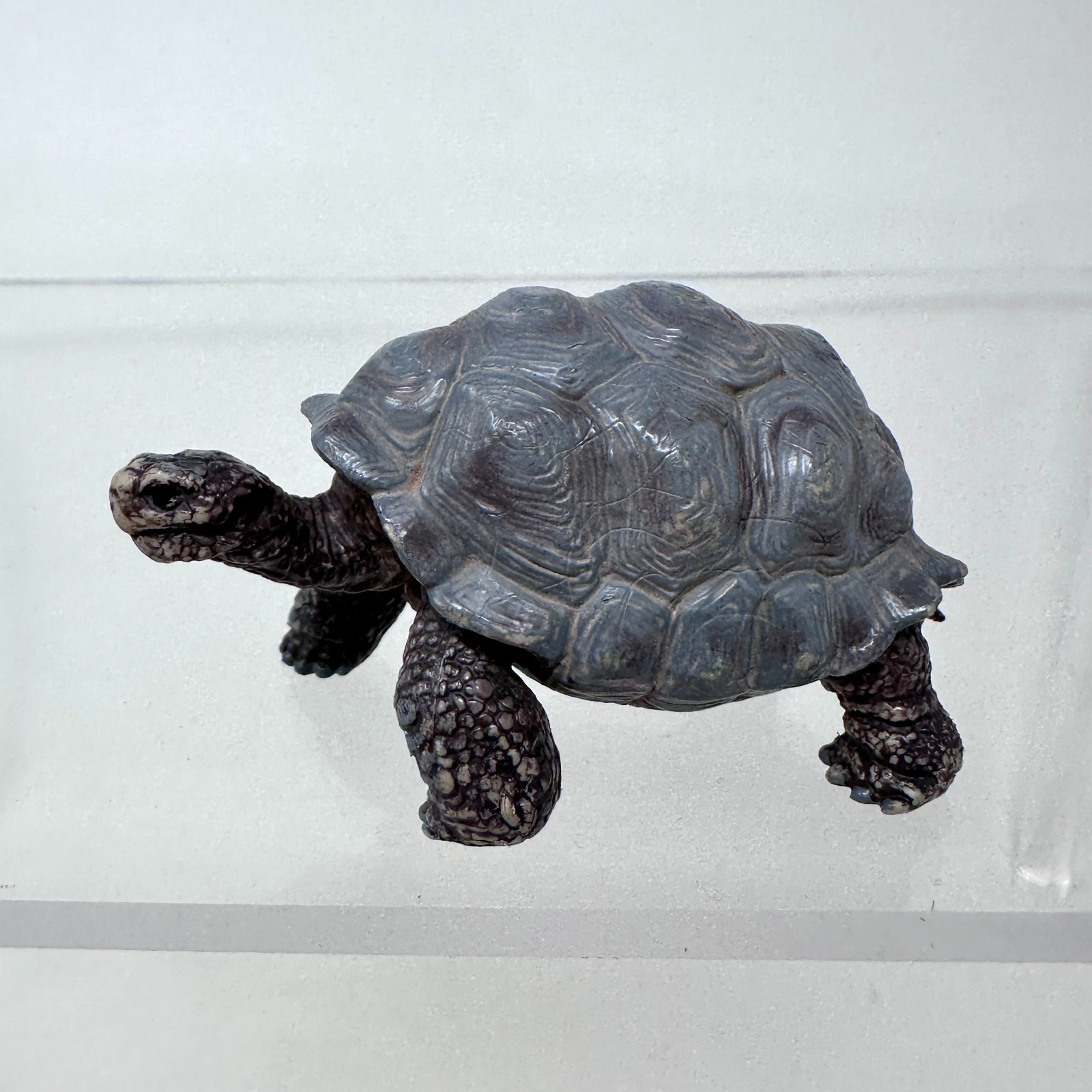 Schleich Tortoise Figure Gray Land Turtle Wildlife Zoo Safari Animal Figurine 3″