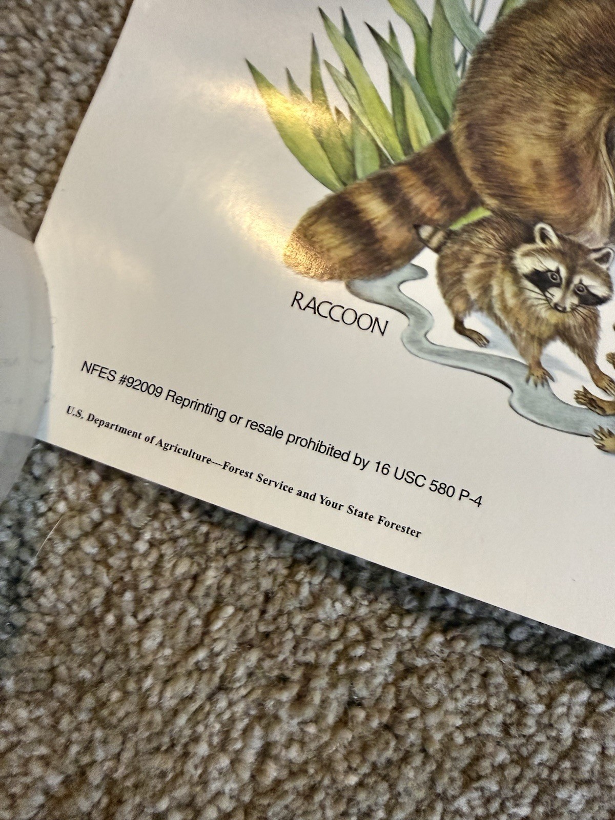 VTG Please Be Careful With The Future Animal Species Smokey The Bear Poster