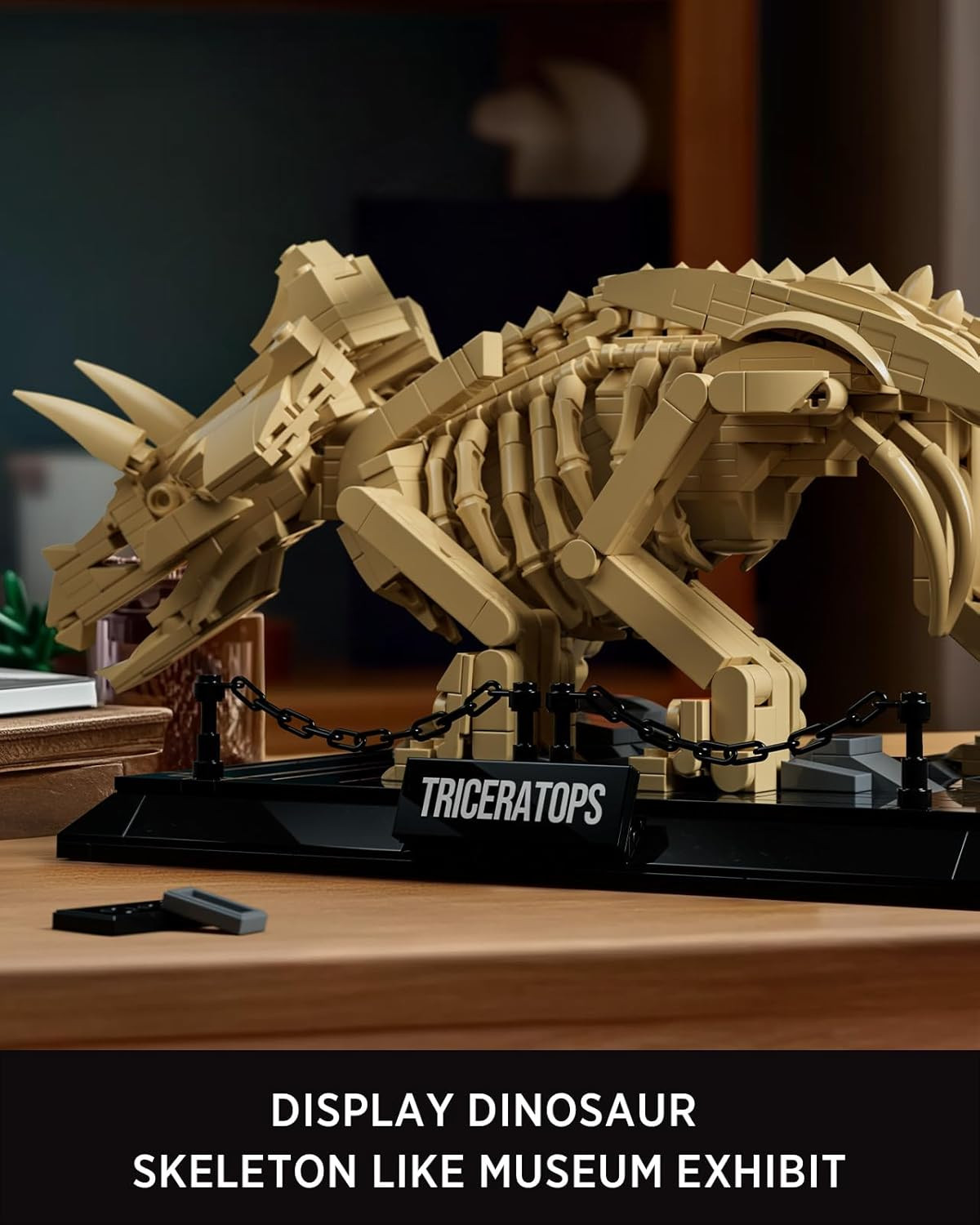 Triceratops Fossil Model Set, Dinosaur Skeleton Building Set for Adults and Coll