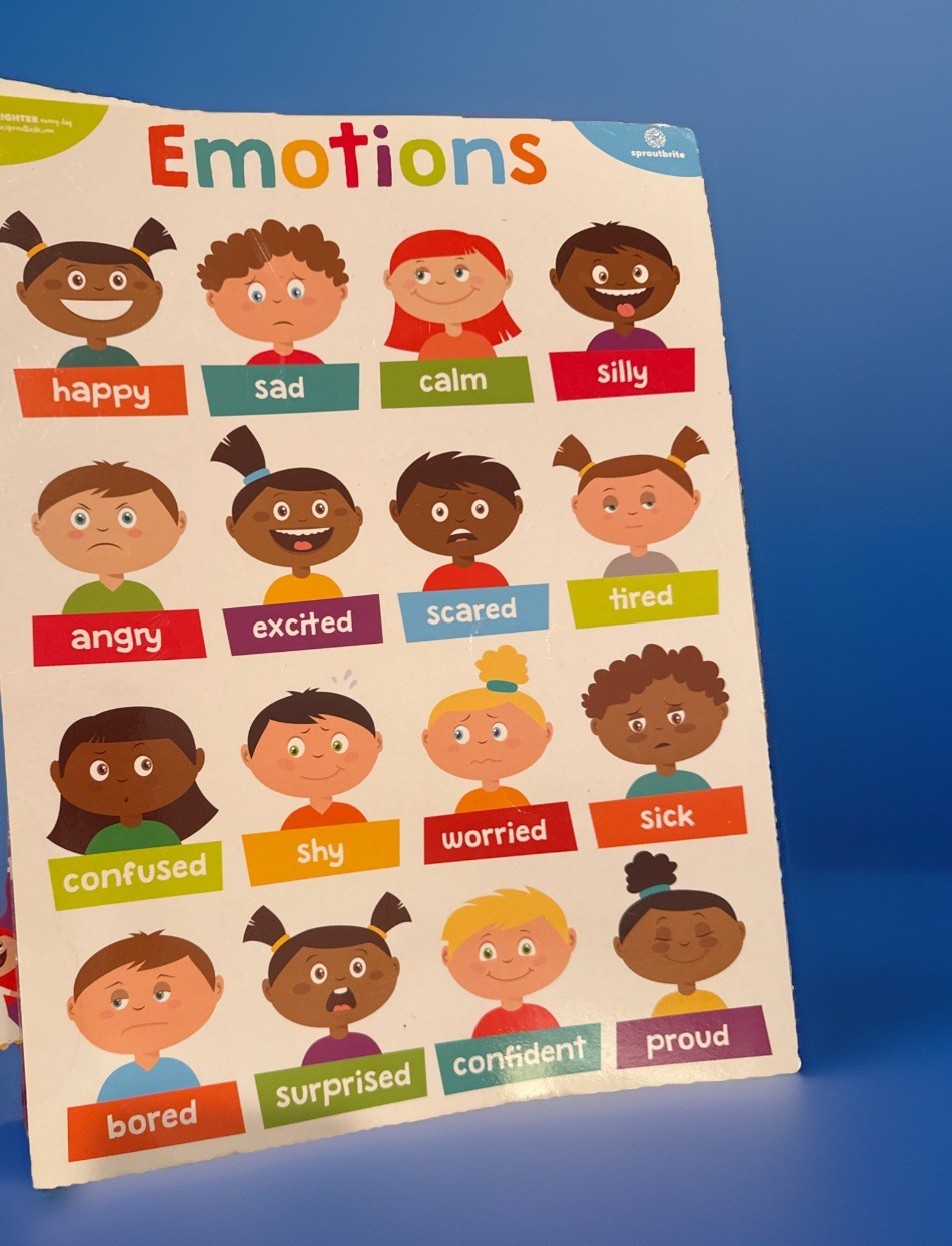Educational Posters for Preschool Homeschool – Waterproof & Durable