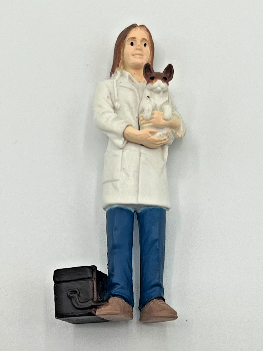People At Work Safari Ltd Veterinarian Holding A Dog 2.5” Figure