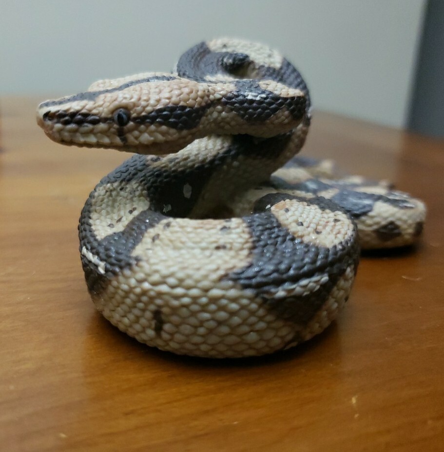 Boa Constrictor Python Realistic Toy Snake Education Prank Safari Ltd Animal Fig
