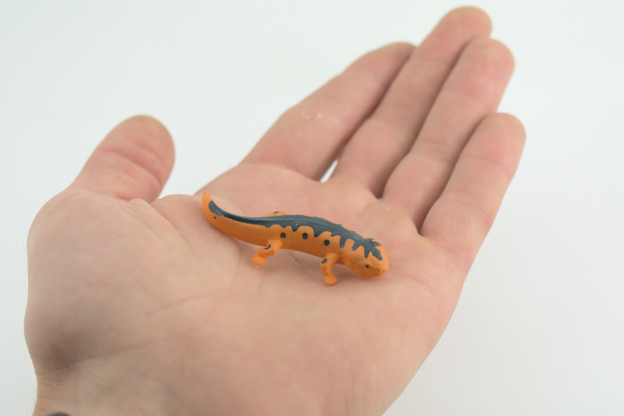 Eastern Orange Newt, Toy Lizard, Hand Painted Rubber, Realistic 2.5″ WR38 B197